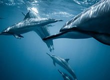 以球会友 小城点燃绿茵激情